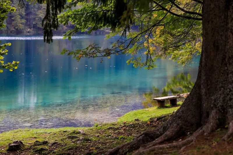 Qi-gong am See