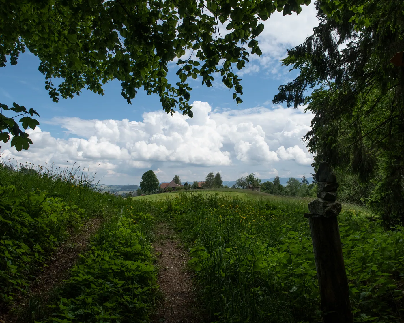 Trans Swiss Trail (Emmental)