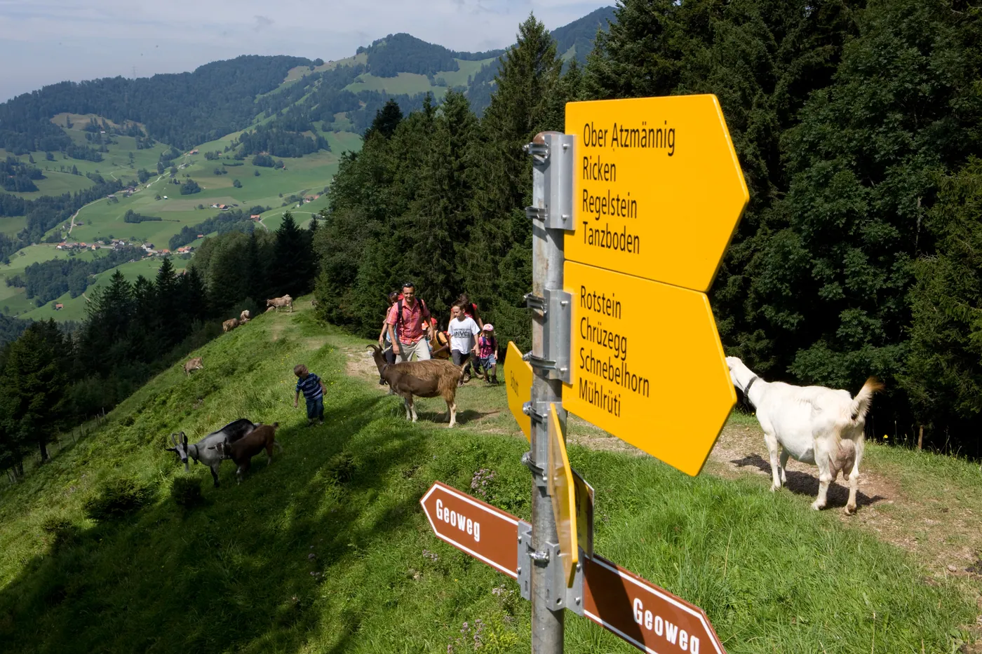 Atzmännig (Goldingen)