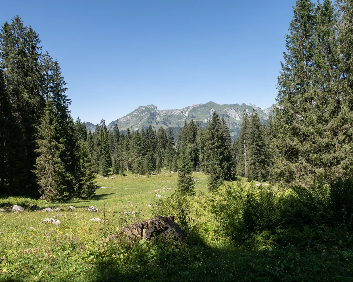 Klangweg (Toggenburg)