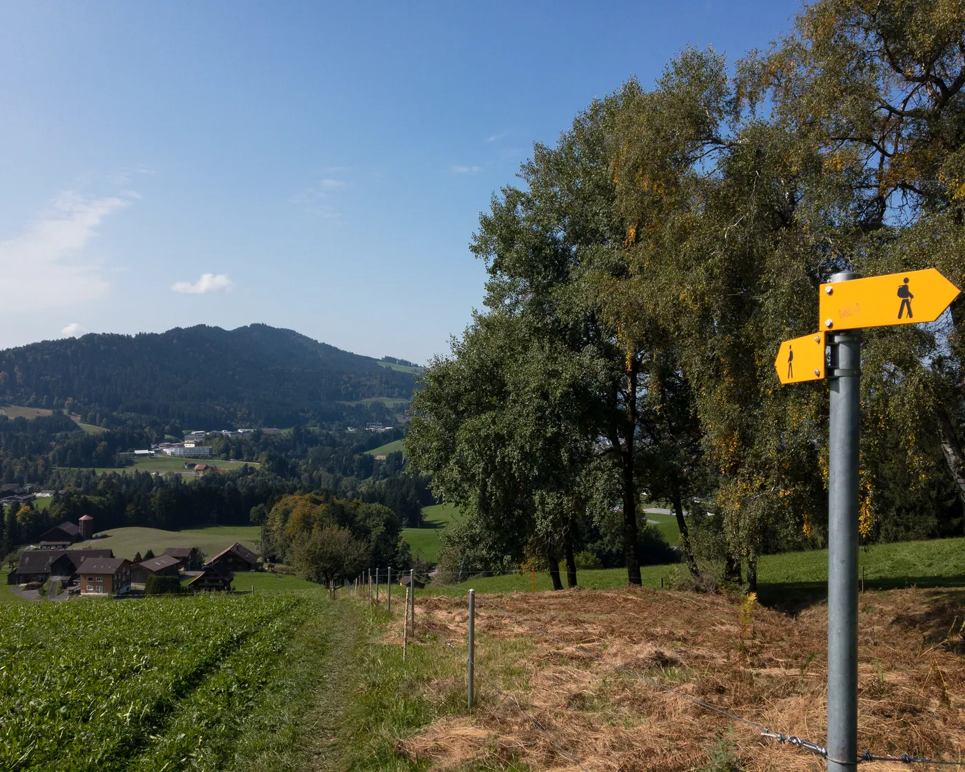 Zürichsee-Rundweg, etap 4