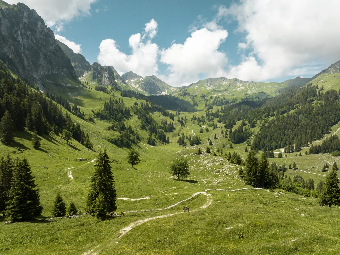 Alpine Panorama Trail