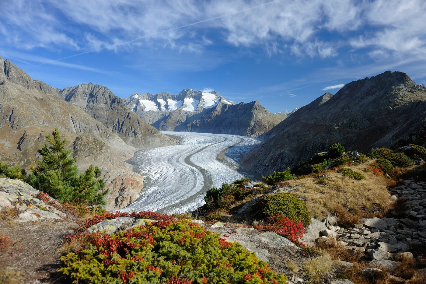 Jungfrau-Aletsch