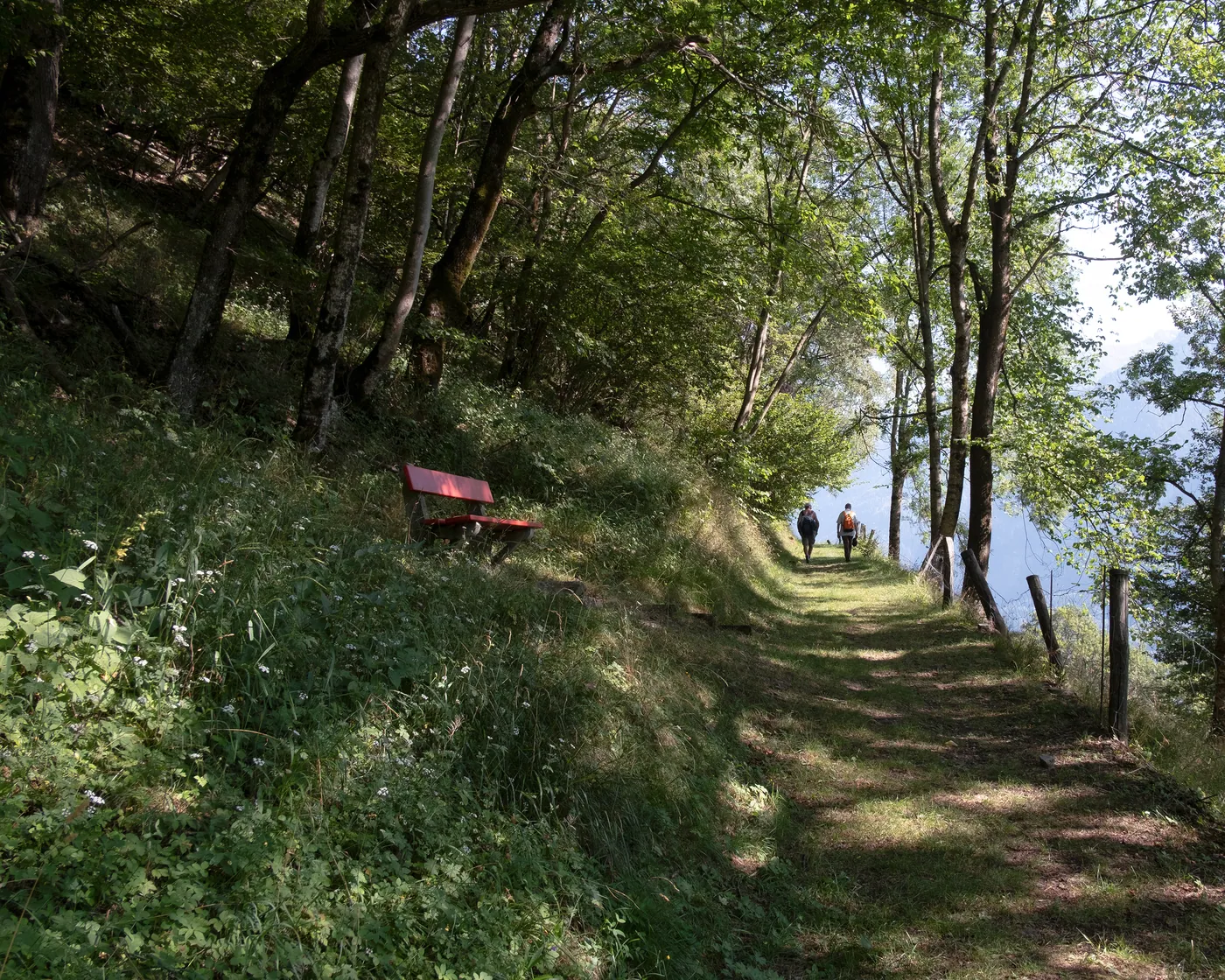 Trans Swiss Trail (Strada Alta)