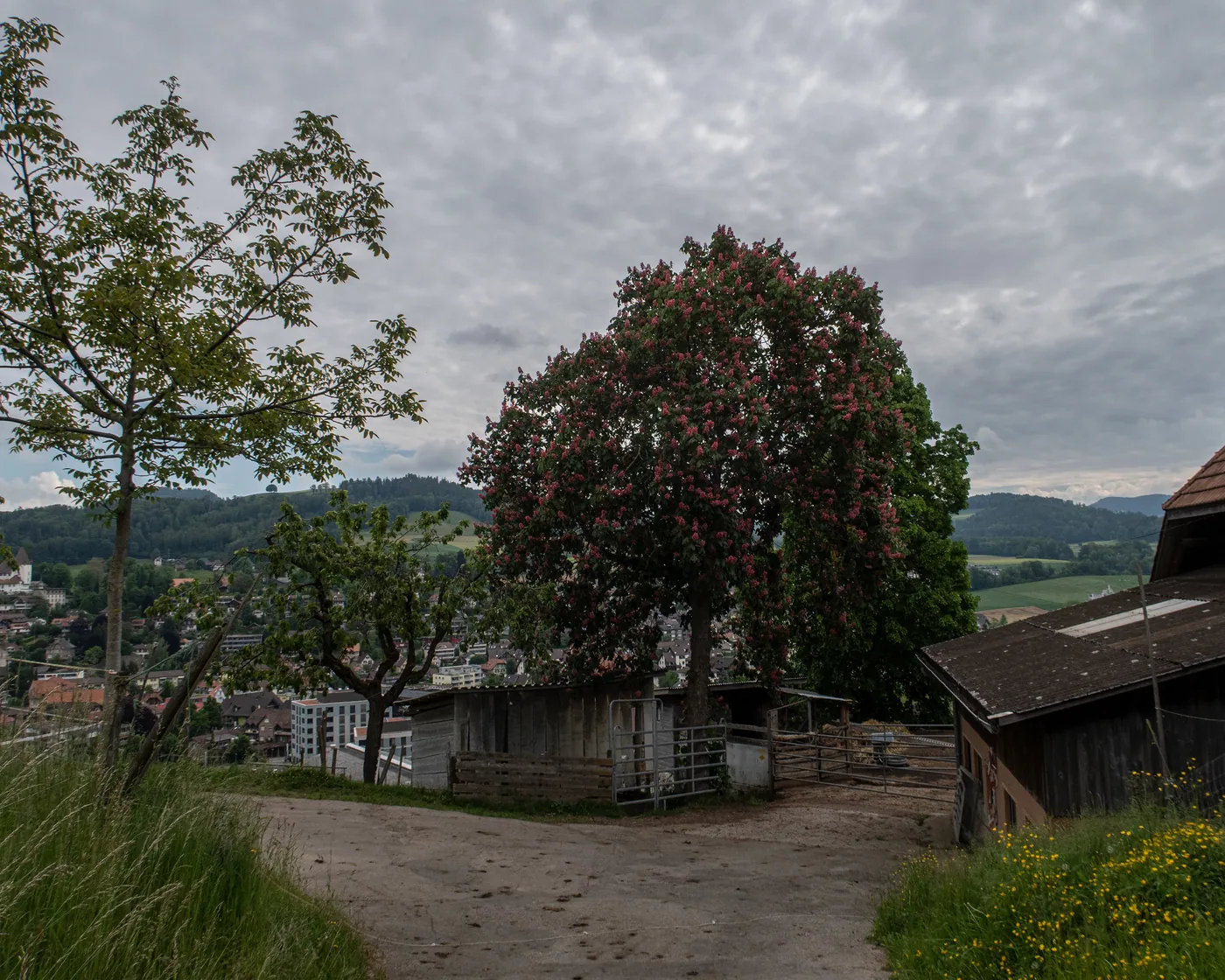 Trans Swiss Trail (Aare, Berno–Worb)