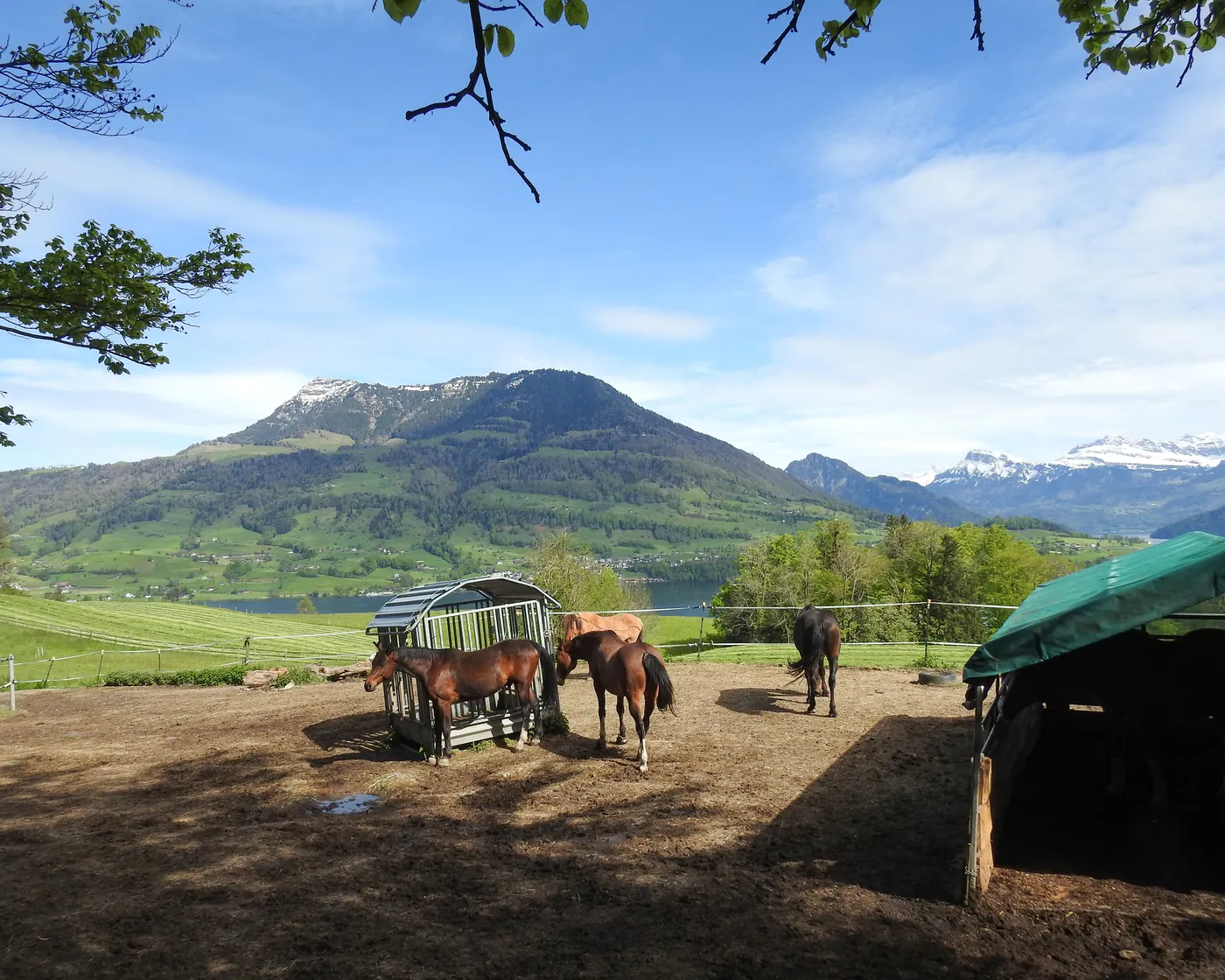 Luzerner Hinterland–Rigi