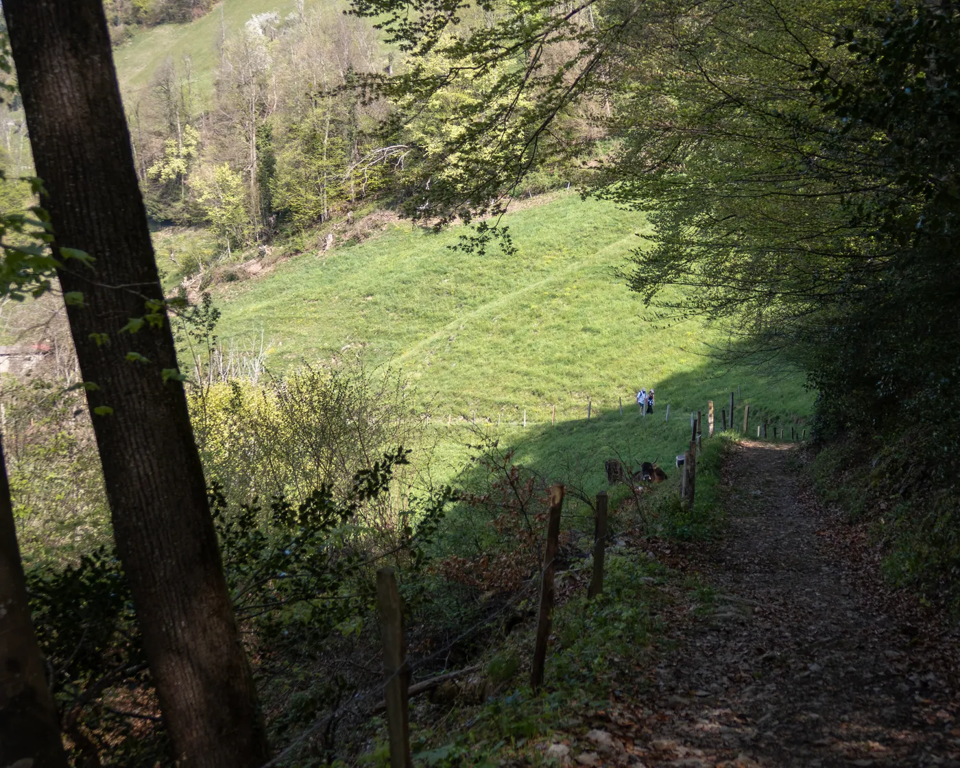 Waldstätterweg (Brunnen–Vitznau)