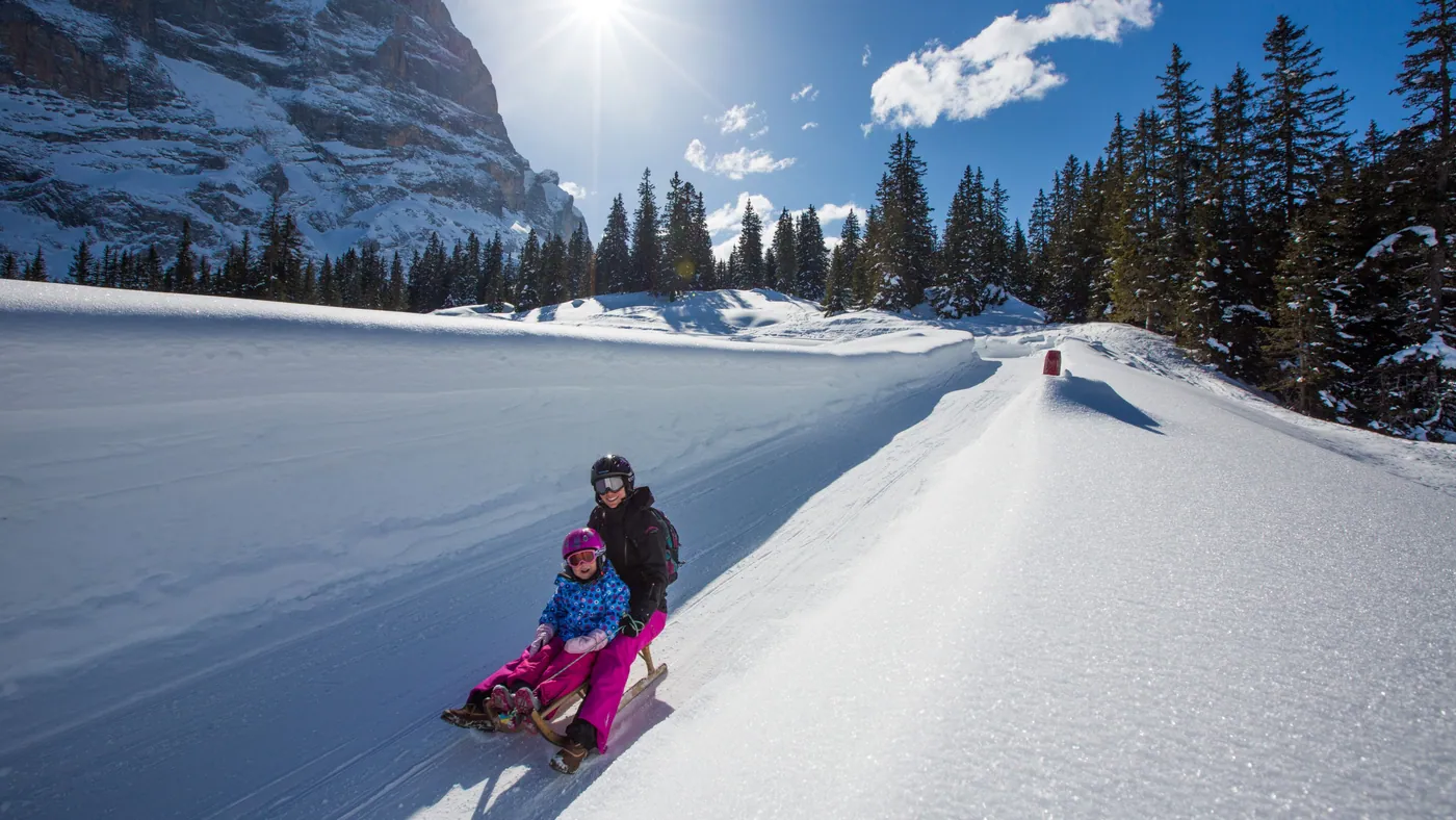 Tor saneczkowy Grosse Scheidegg