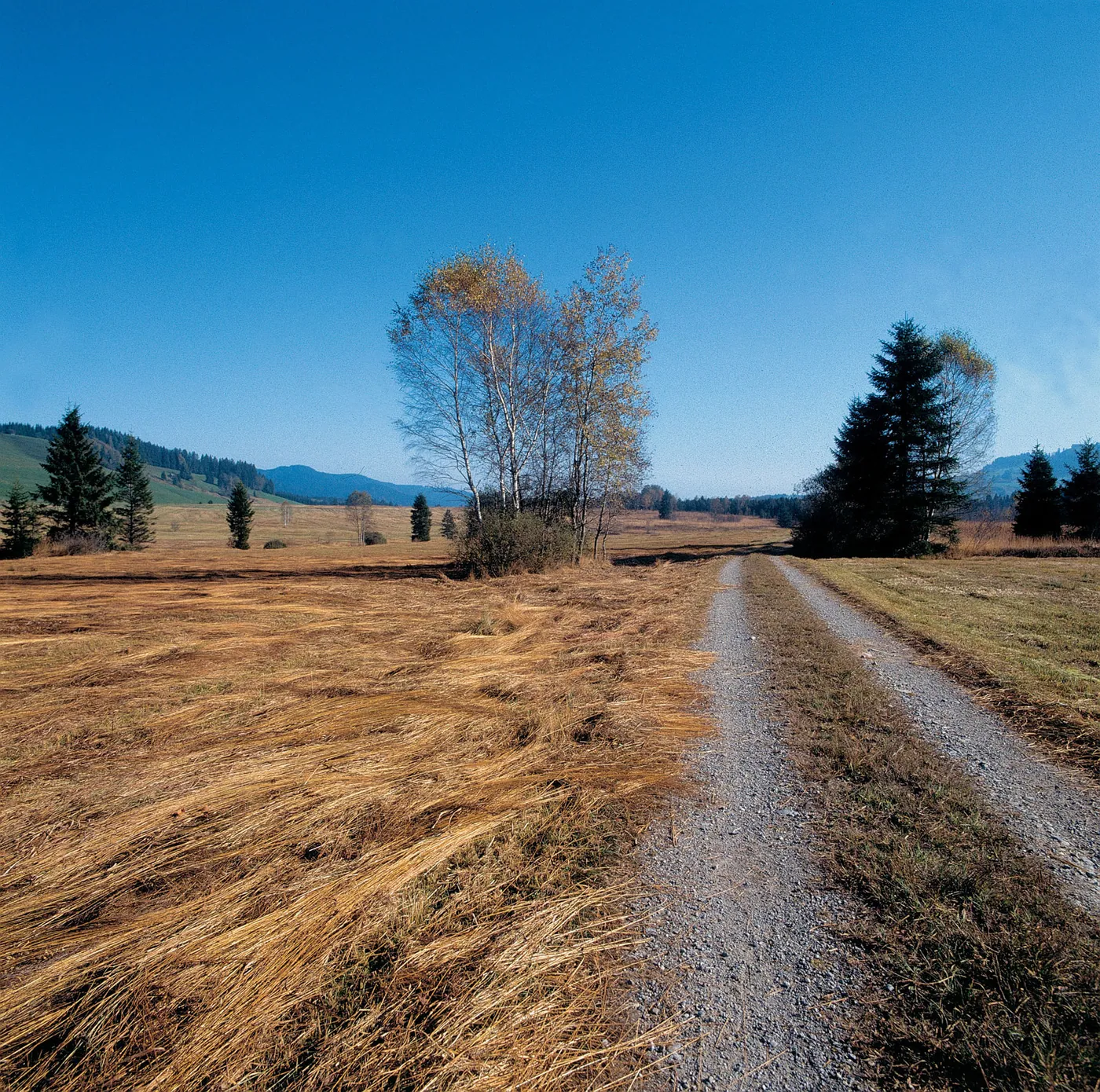 Rothenthurm — kraina torfowisk