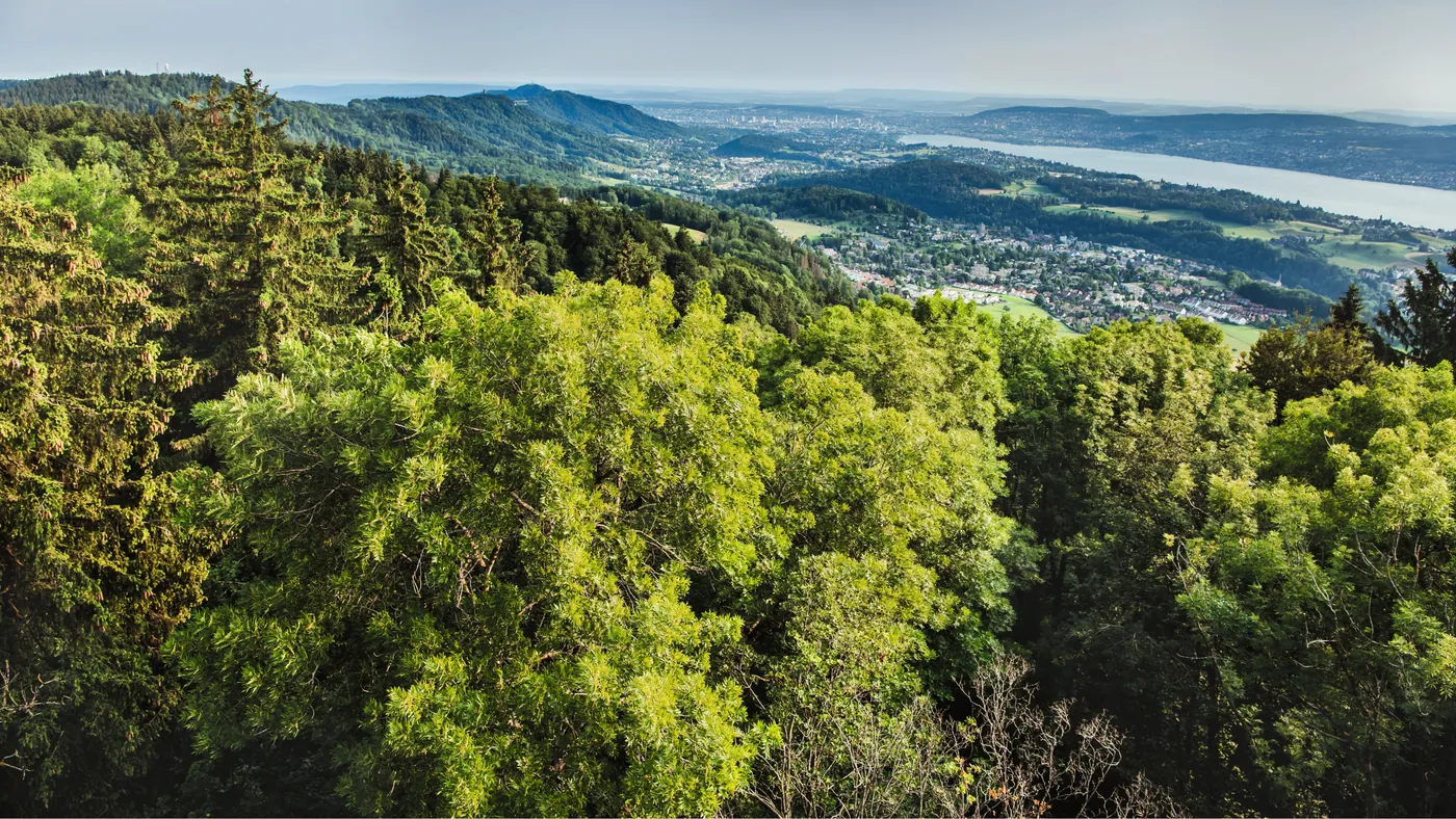 Wildnispark Zürich Sihlwald