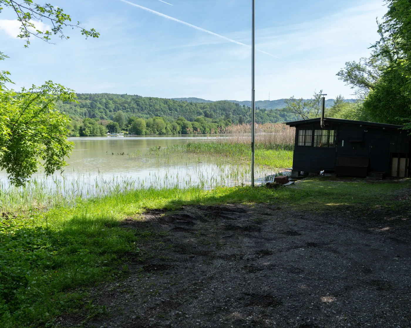 ViaRhenana (Riburg)