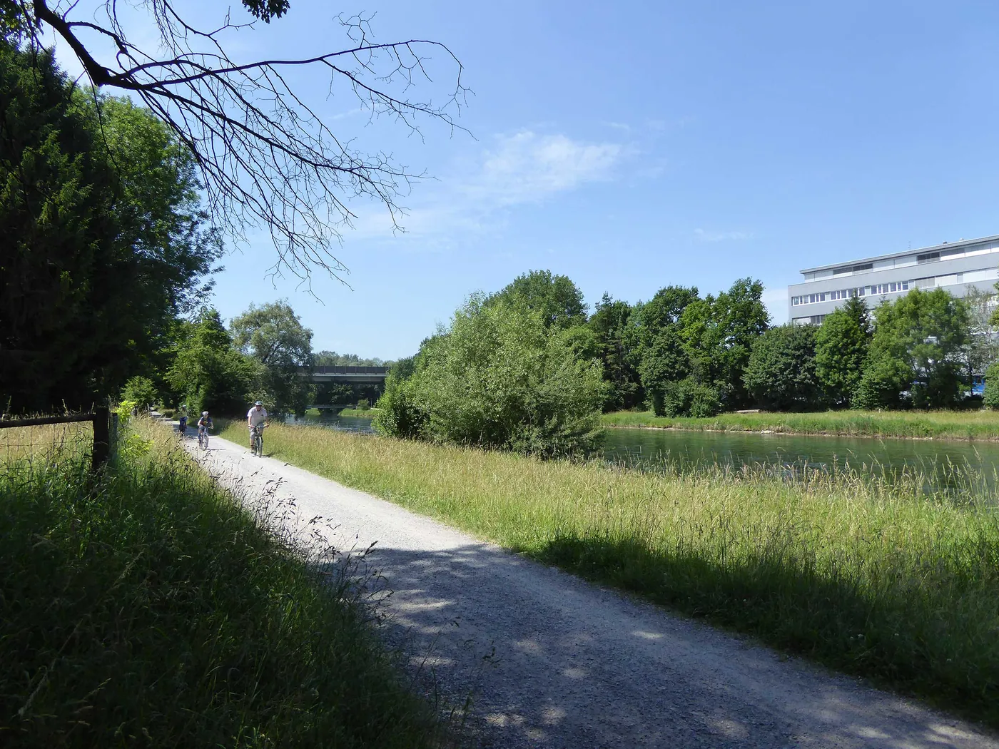 Goldküste–Limmat