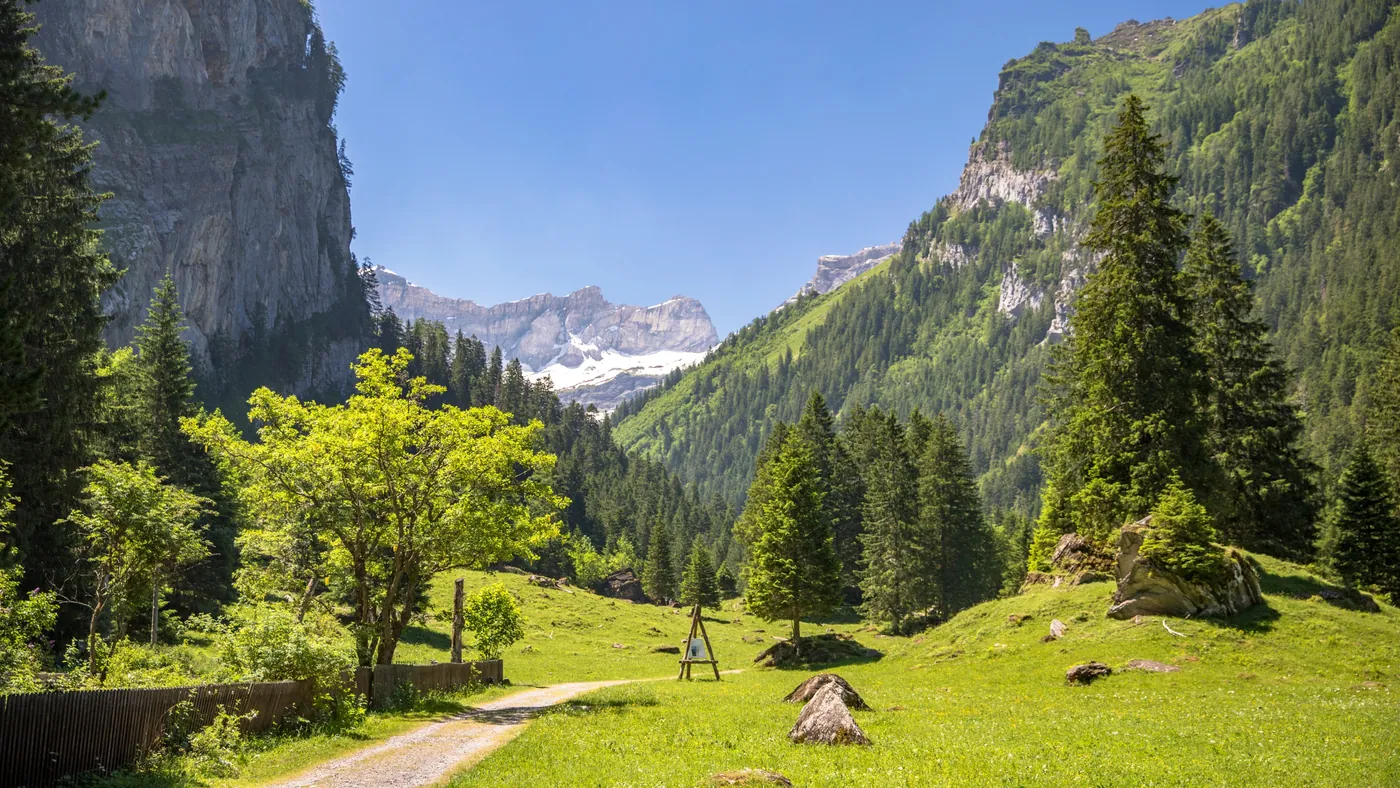 Vallon de Nant