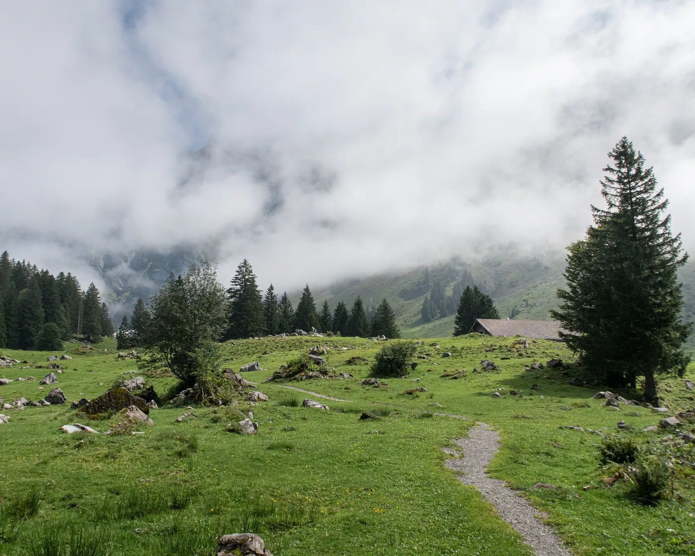 Neckerweg