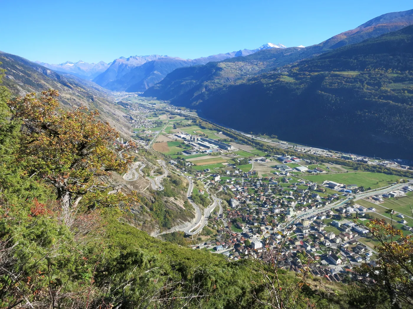 Hohtenn