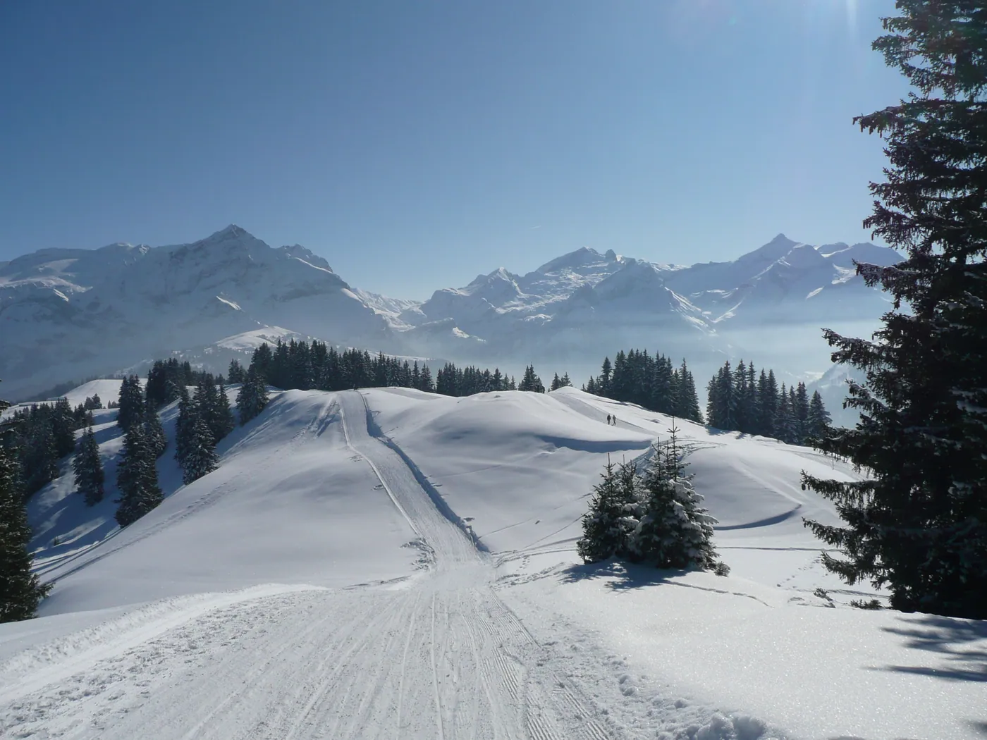 Tor saneczkowy Wispile–Gsteig