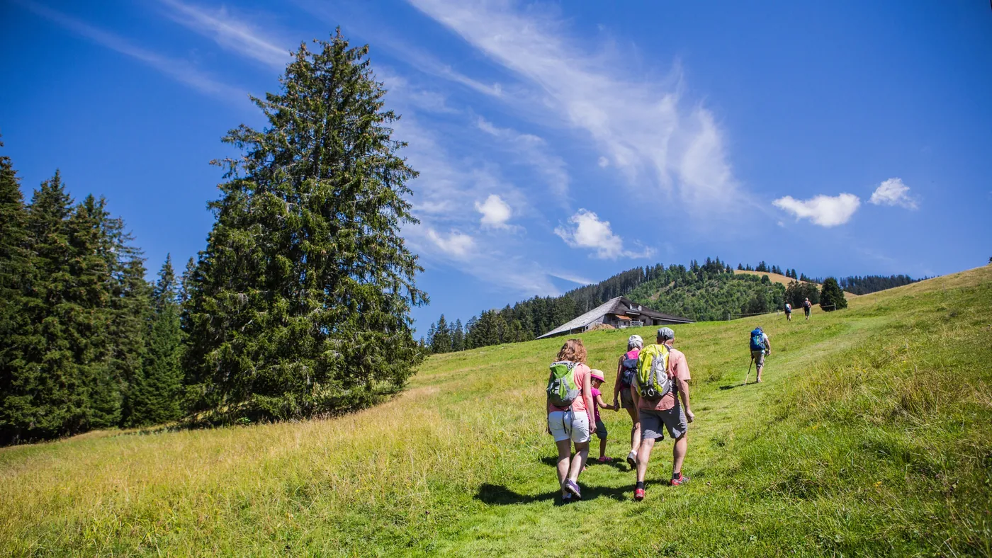 Sentier panoramique des Paccots
