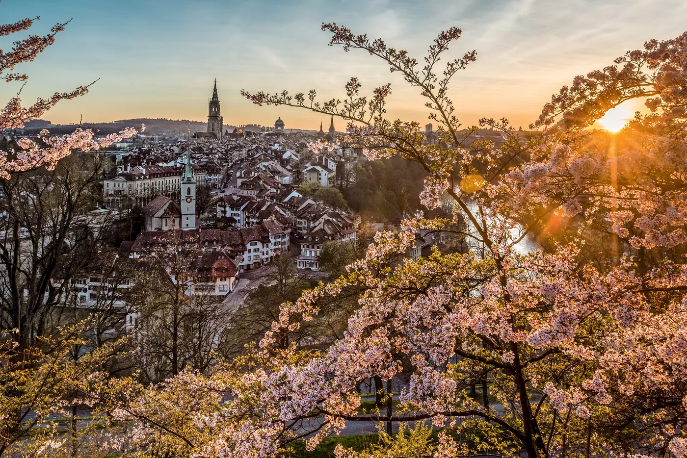 Rosengarten — różany balkon nad Bernem