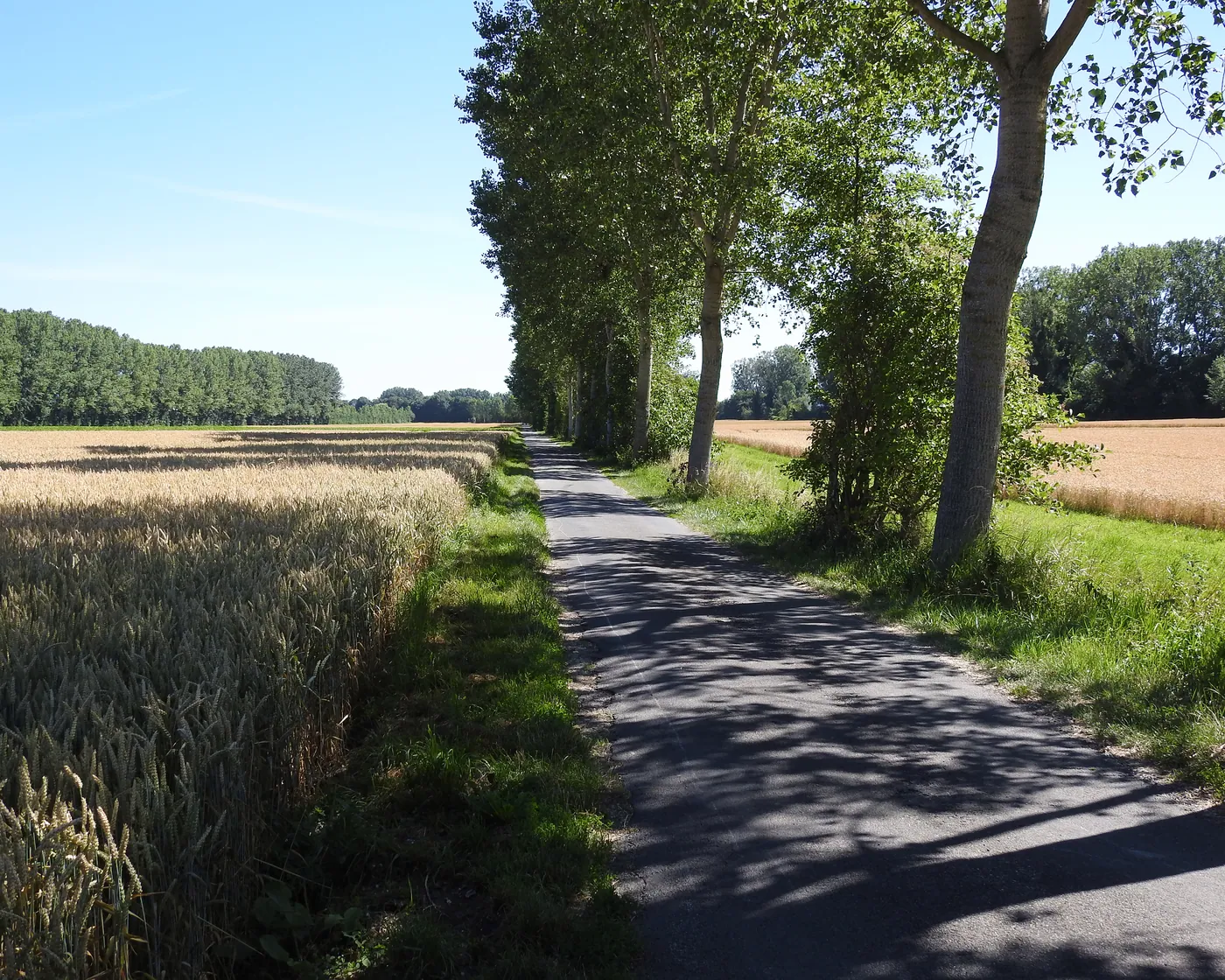 Nord Vaudois–Jura