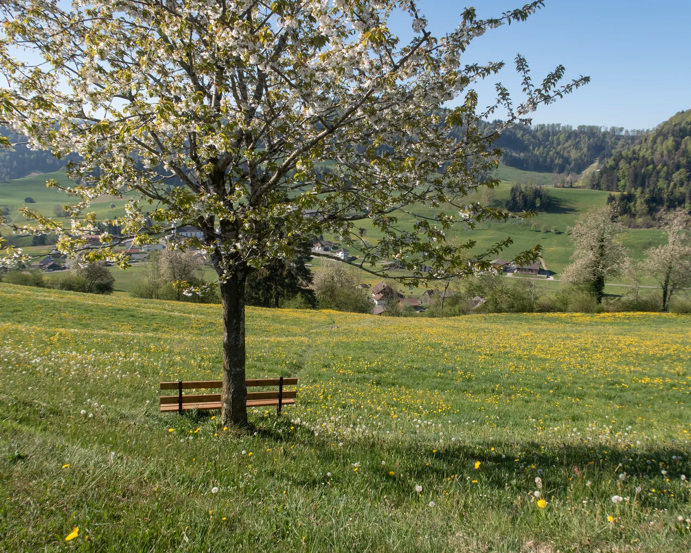 Toggenburger Höhenweg, etap 6