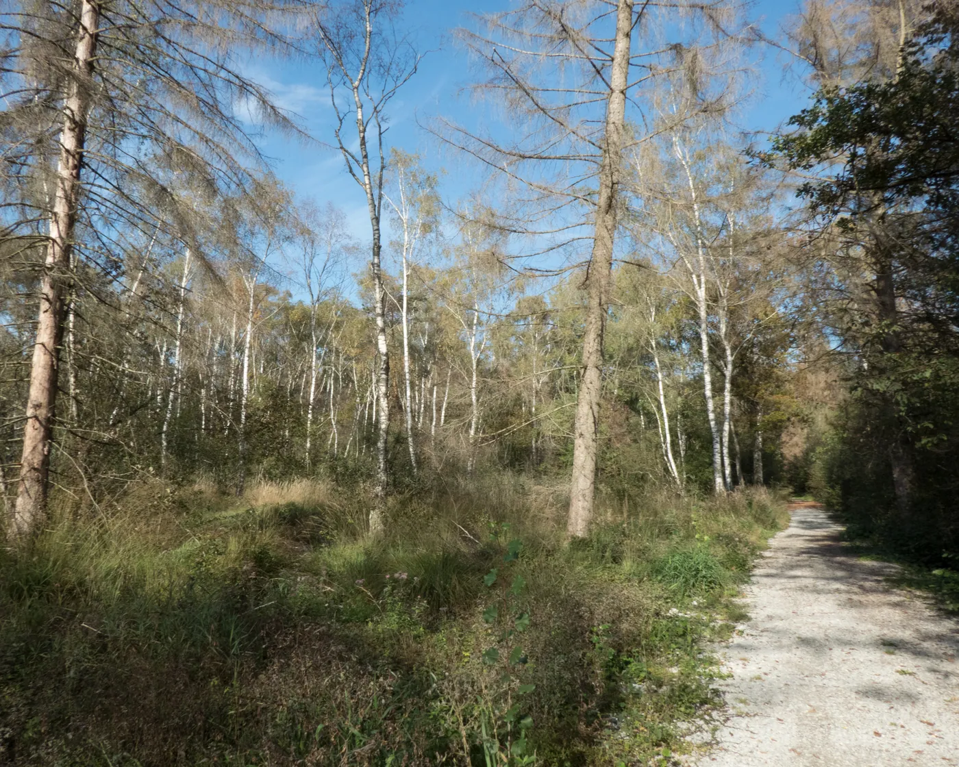 Chemin des Trois-Lacs, etap 3
