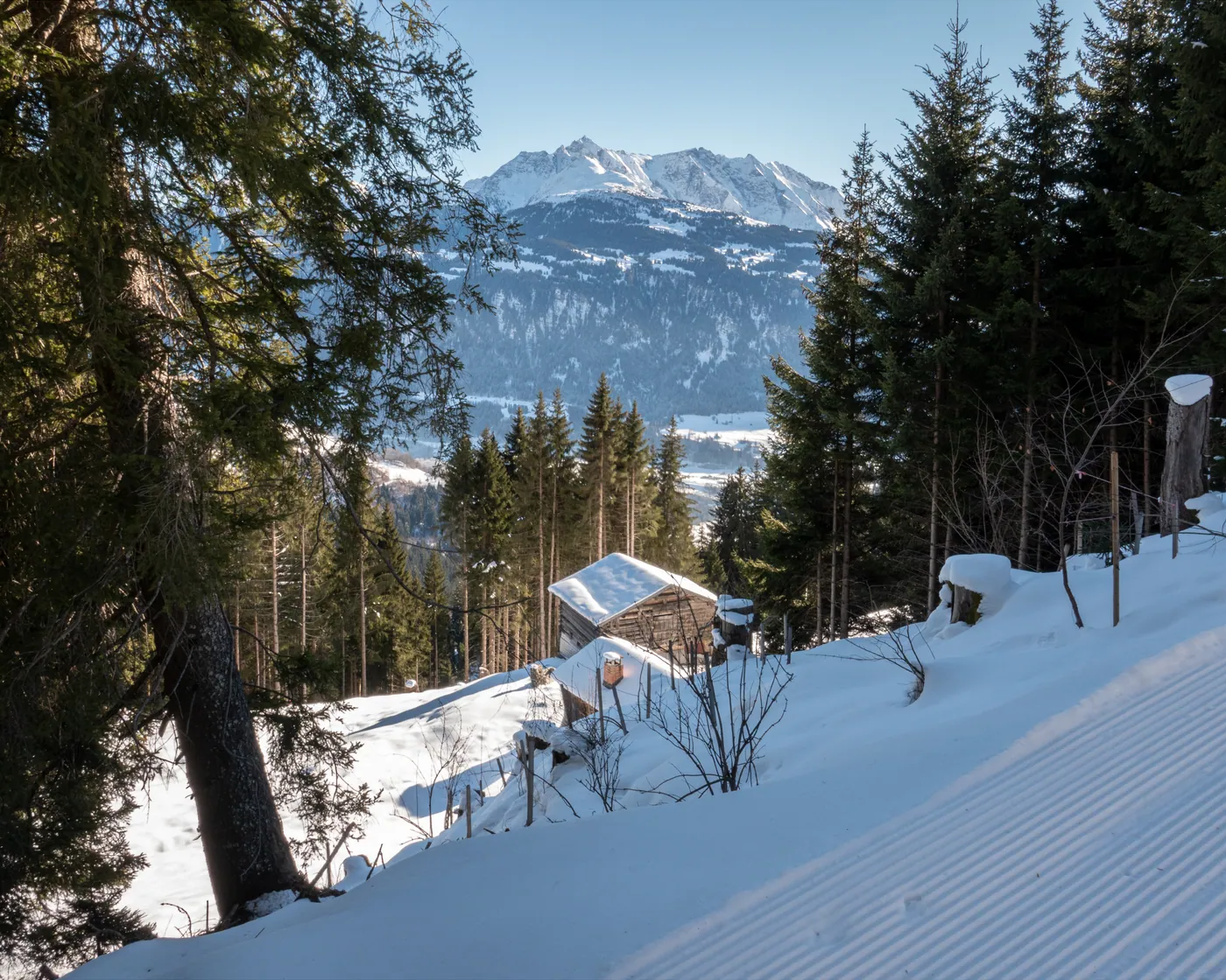 Winterwanderweg Siat-Falera