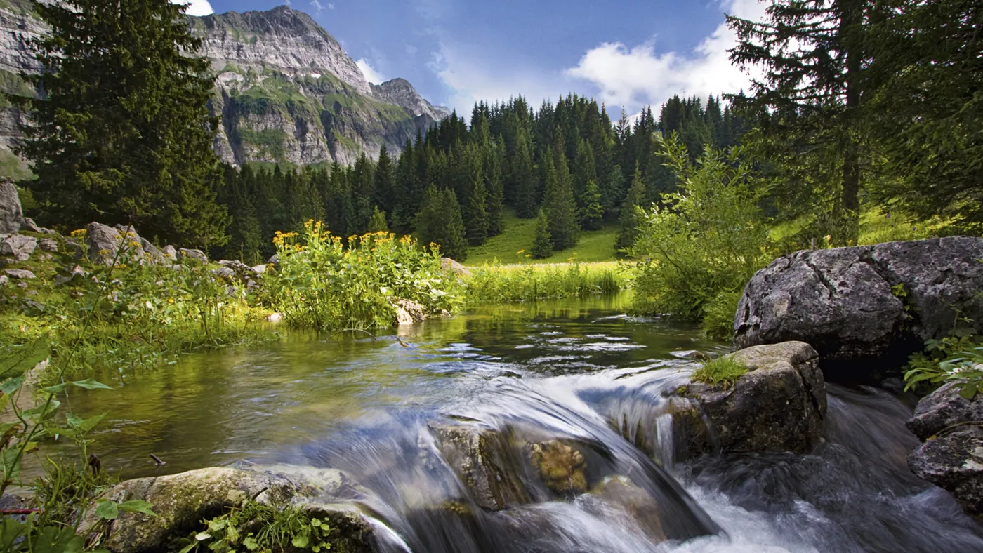 Appenzeller Alpenweg
