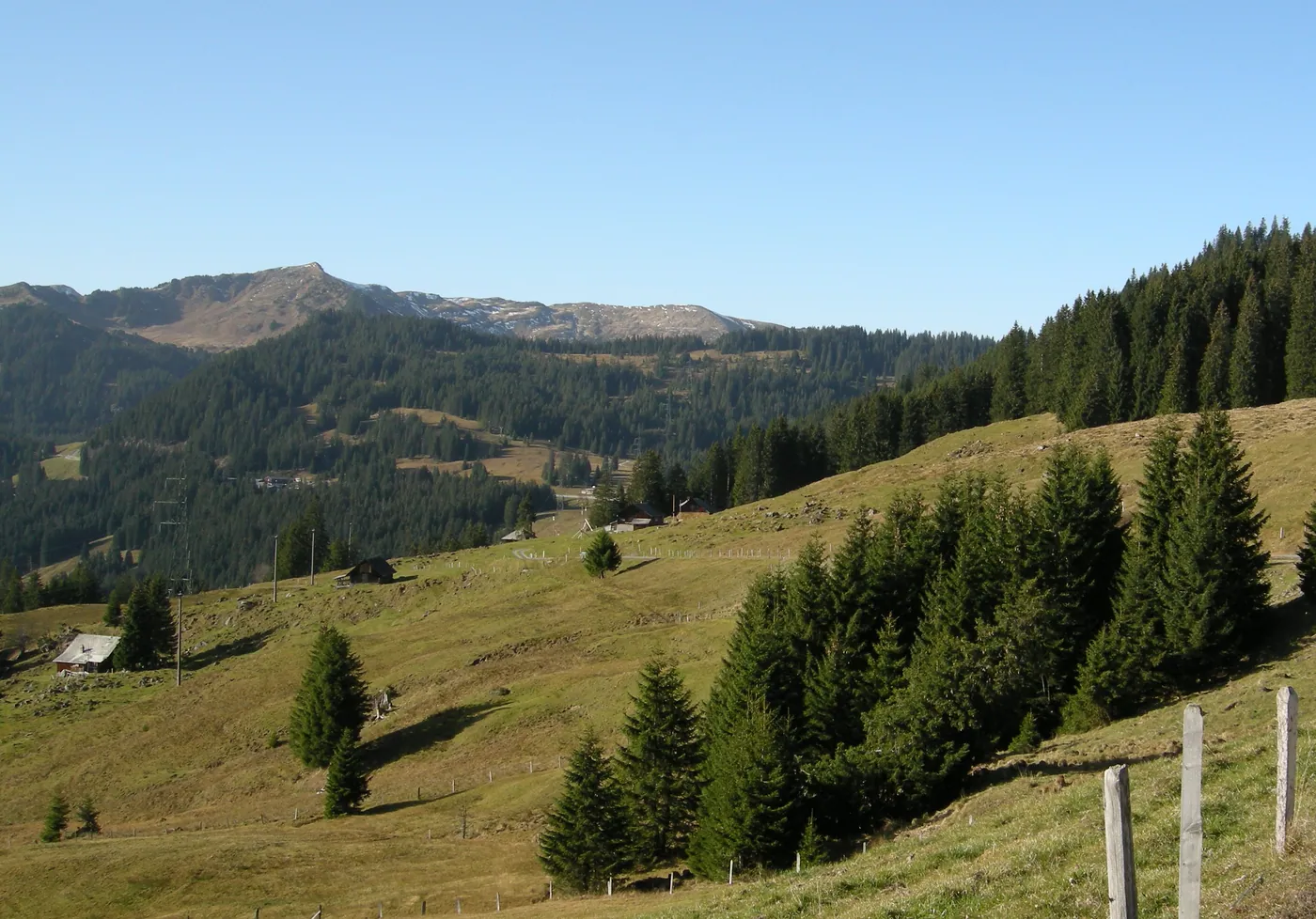Torfowiska Glaubenberg