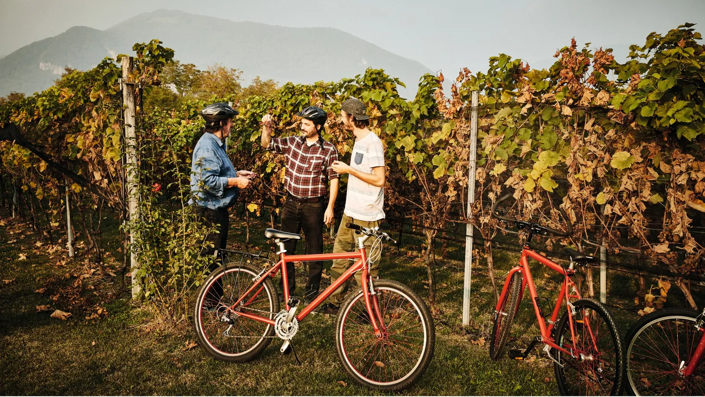 BikeAndWine Mendrisiotto