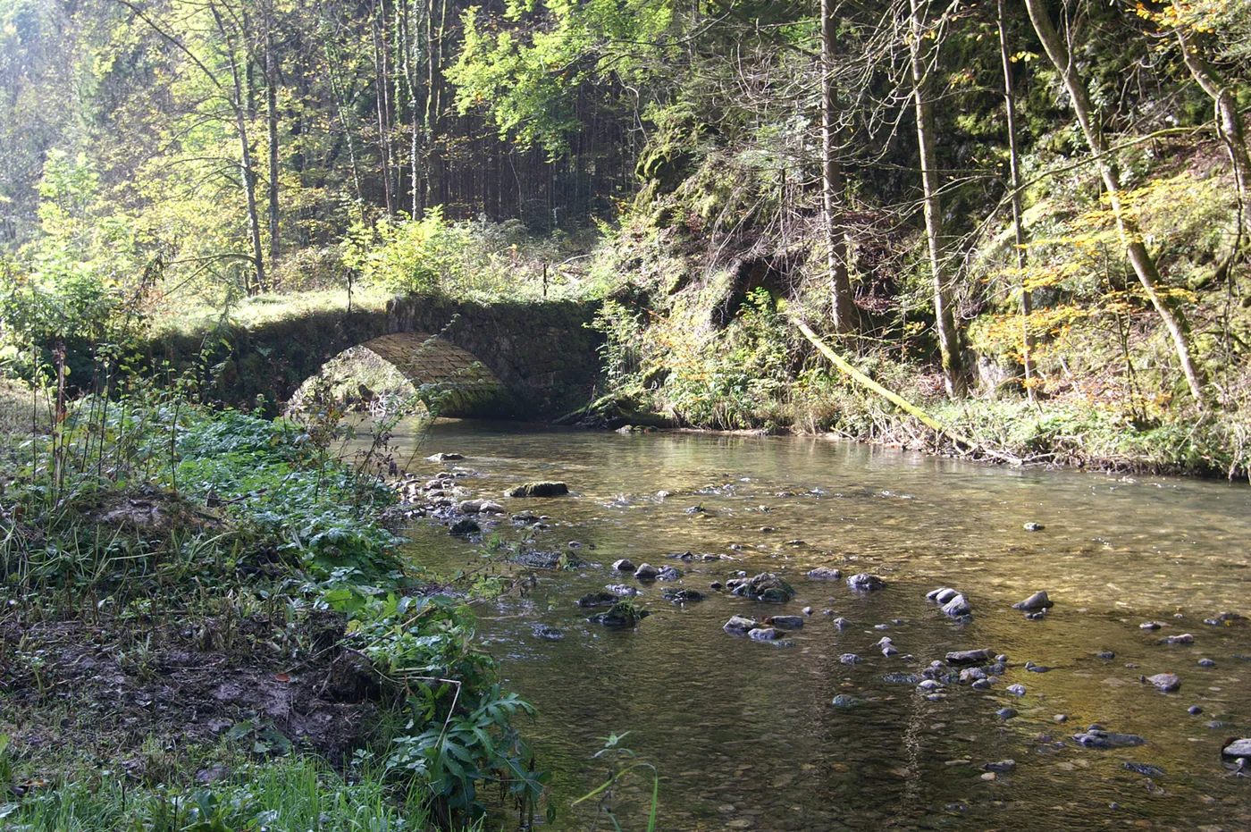 Wąwóz Pichoux