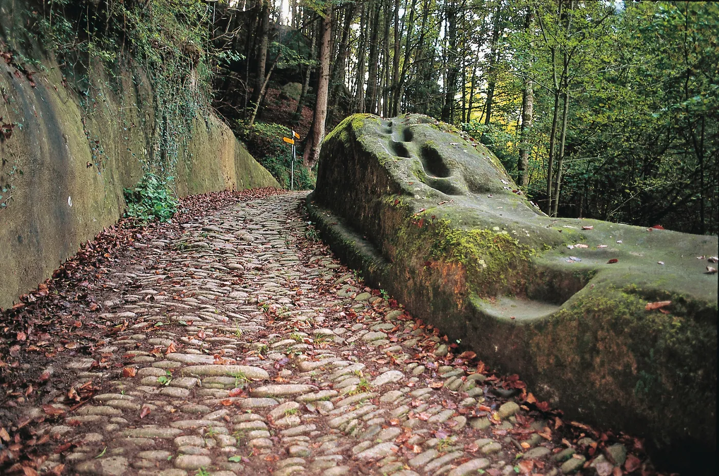 ViaJacobi, etap 13