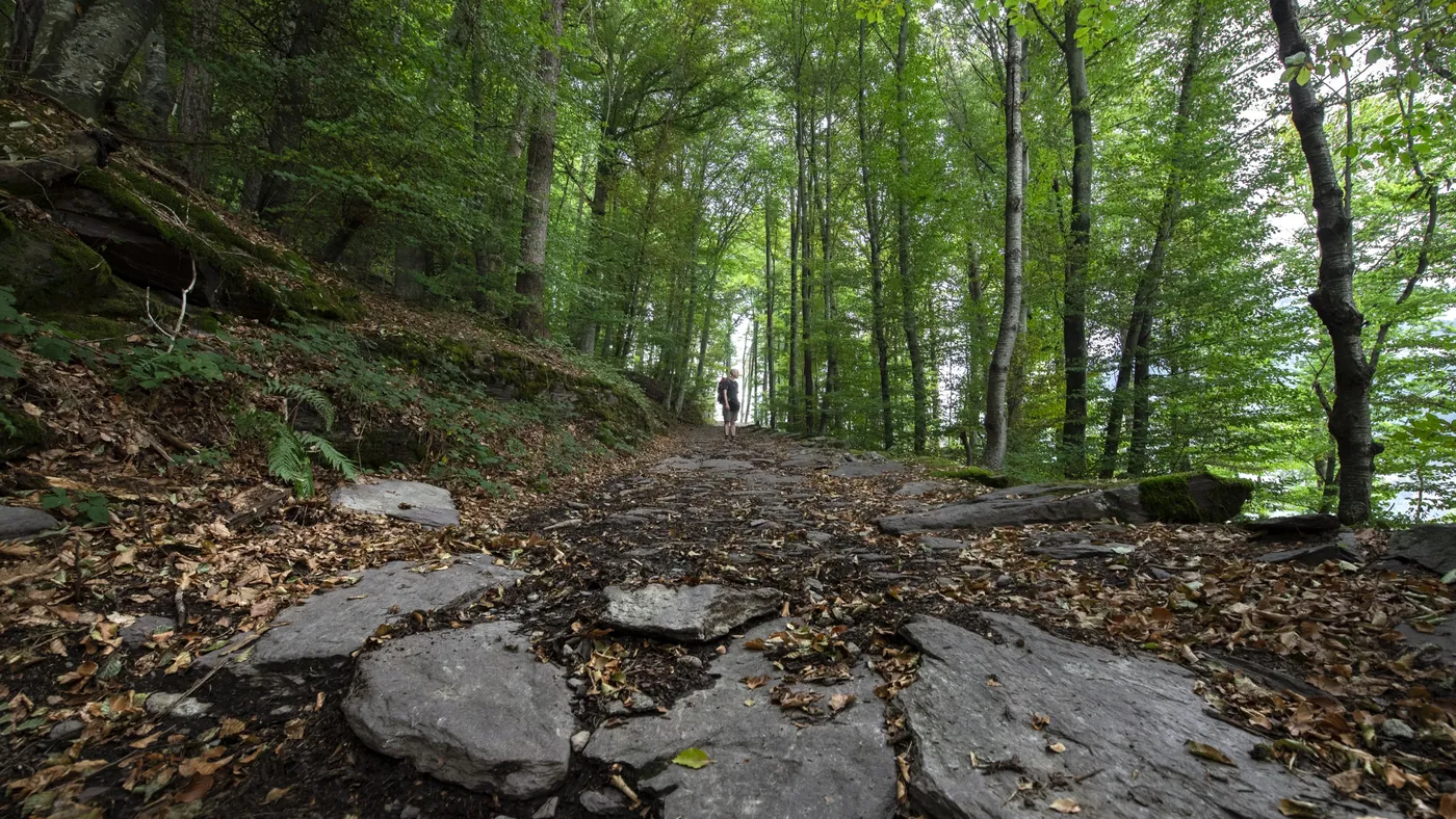 Via Alpina — etap 2