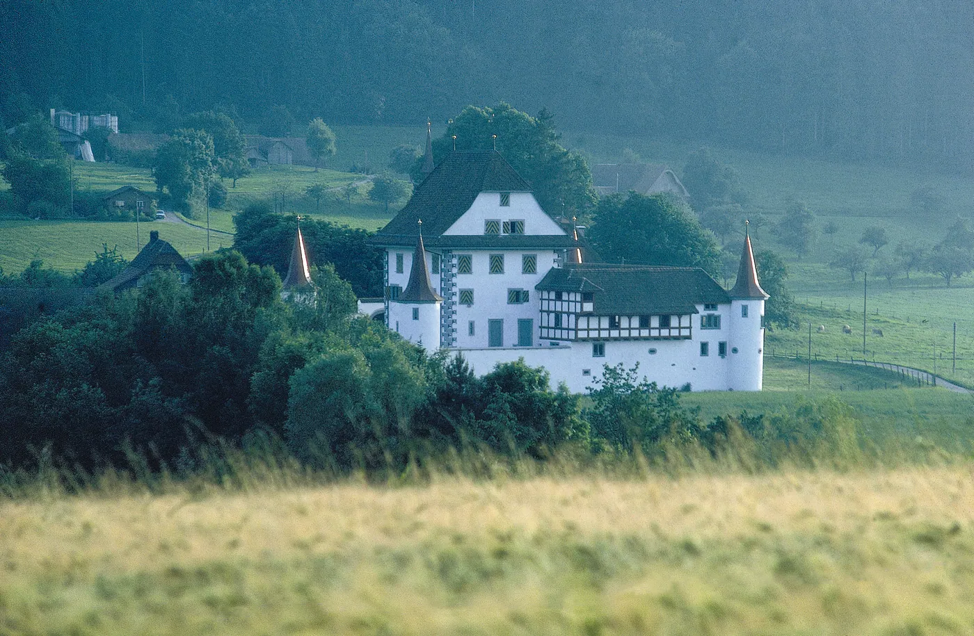 Zamek Wyher