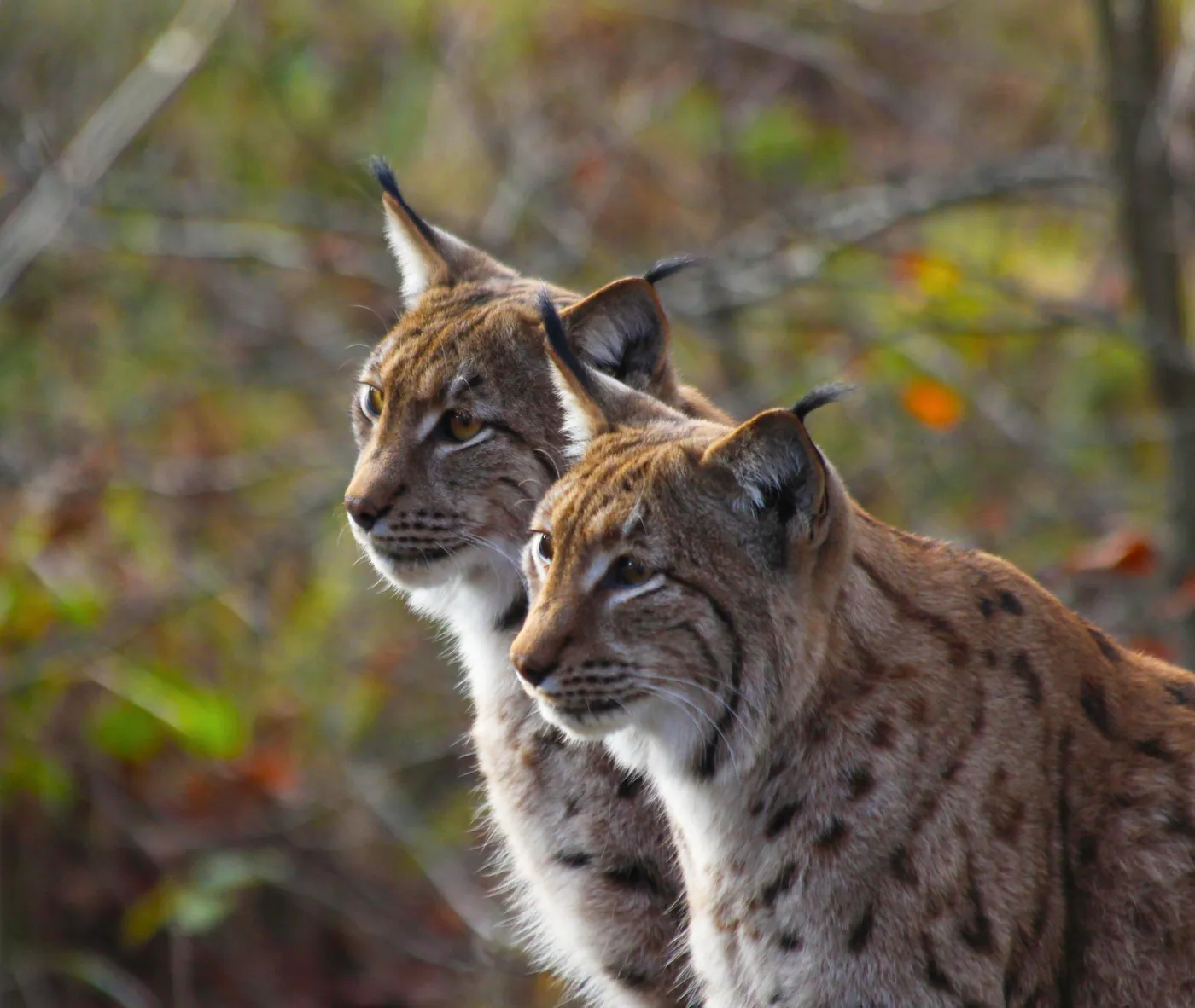 Zoo La Garenne