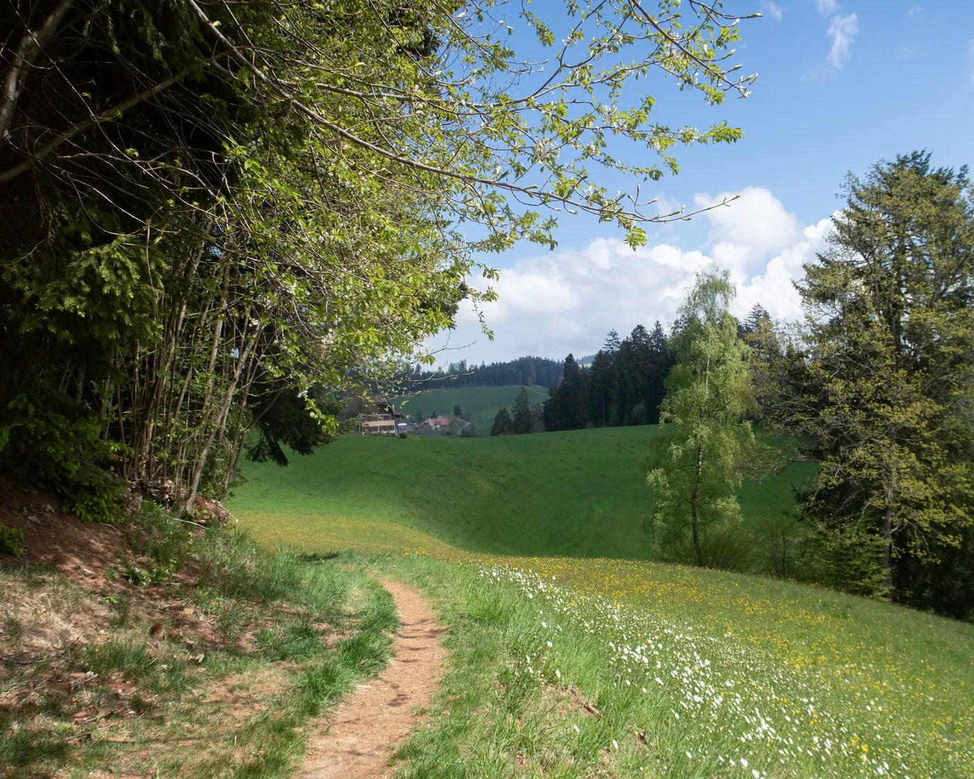 Alpine Panorama Trail, etap 16