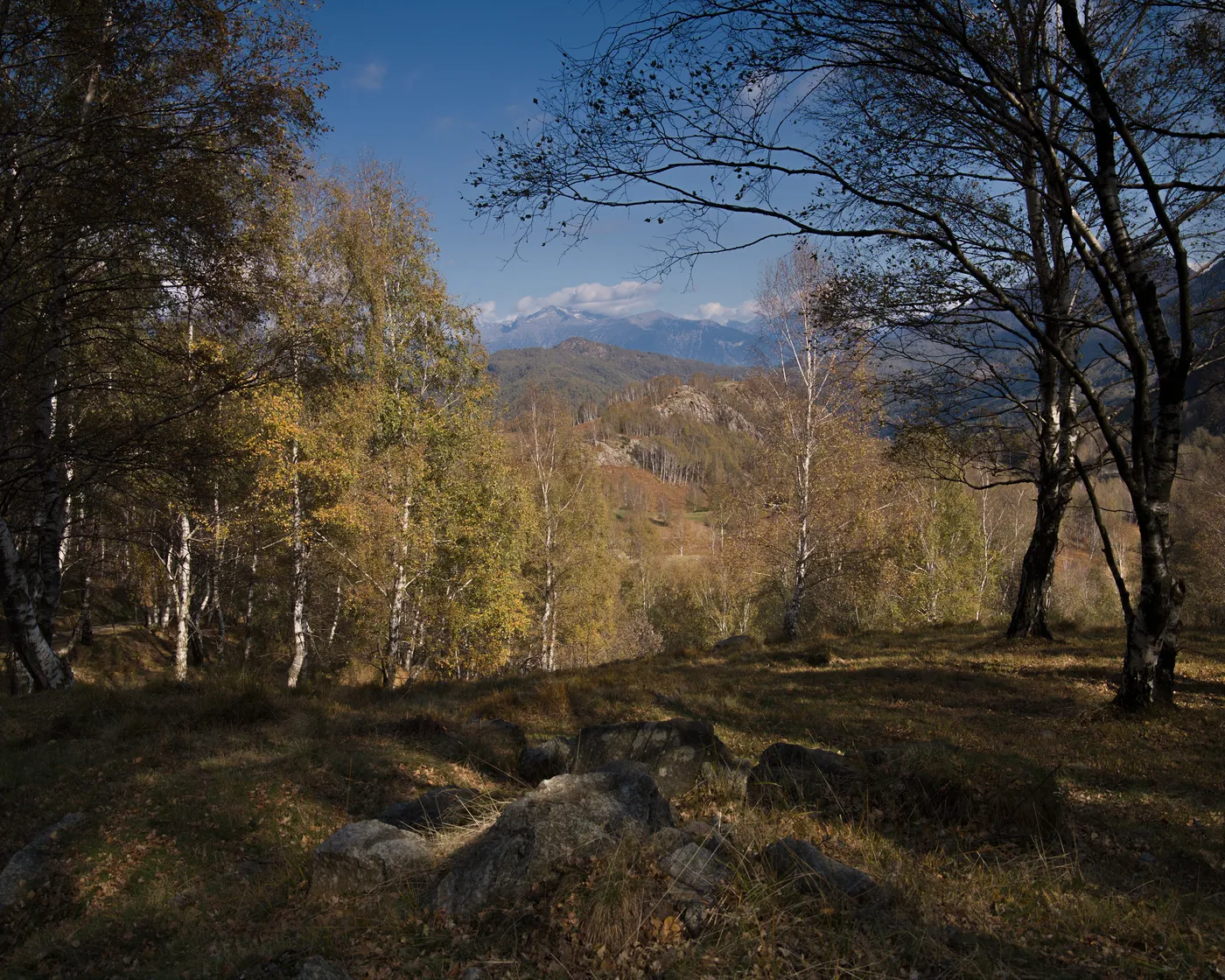 Trans Swiss Trail