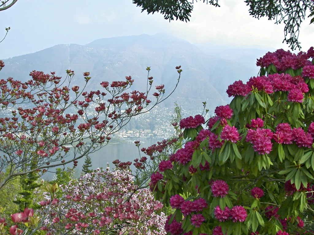 Park Botaniczny Gambarogno