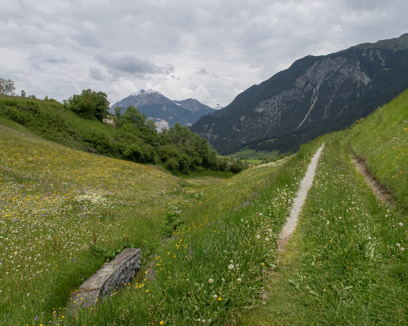 Alpine Bike, etap 5