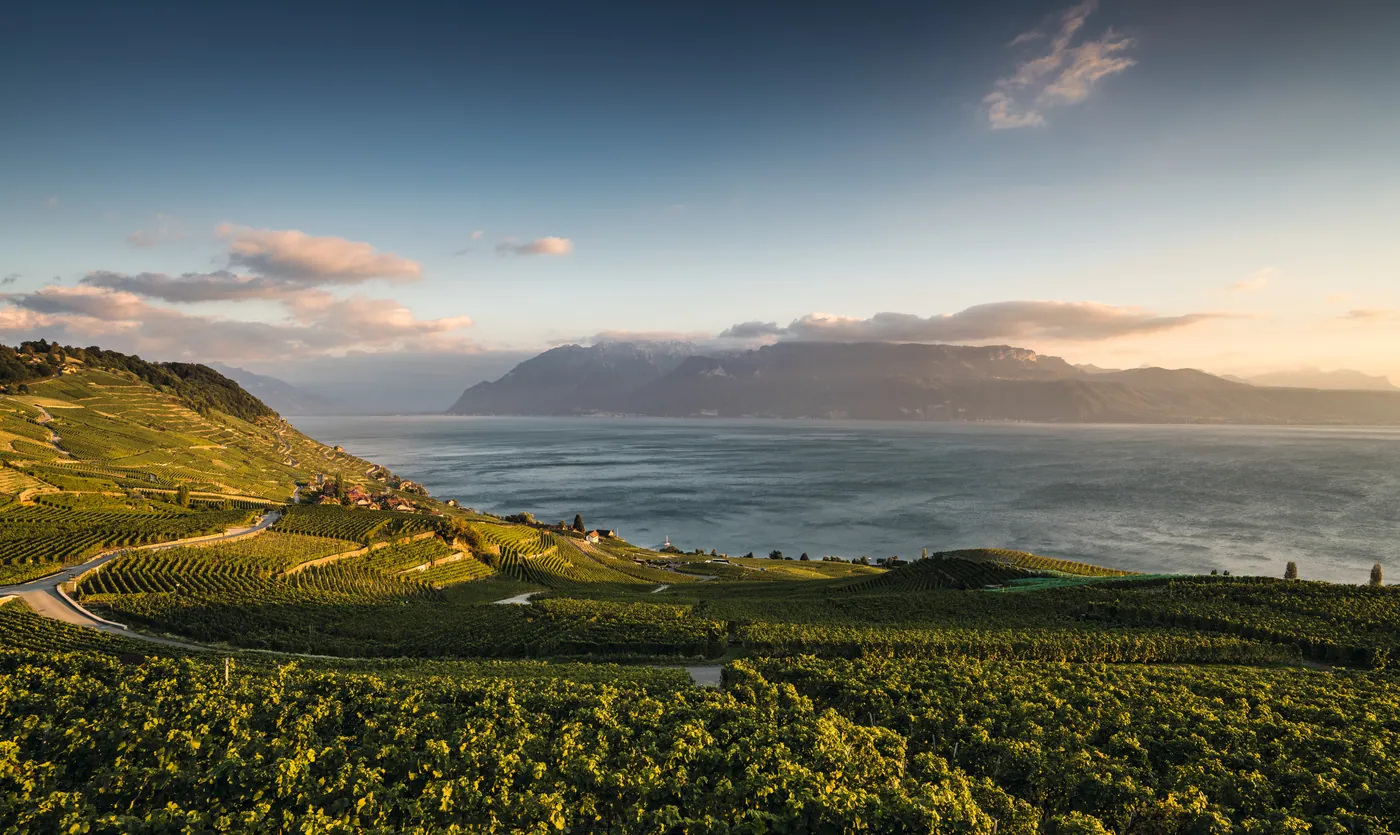 Lavaux (tarasy winnic)