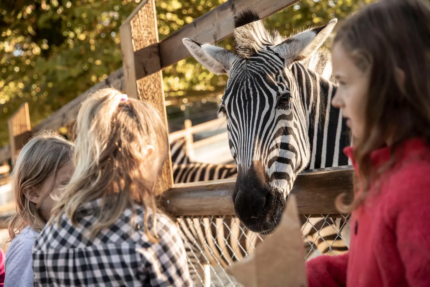 Walter Zoo (Gossau)