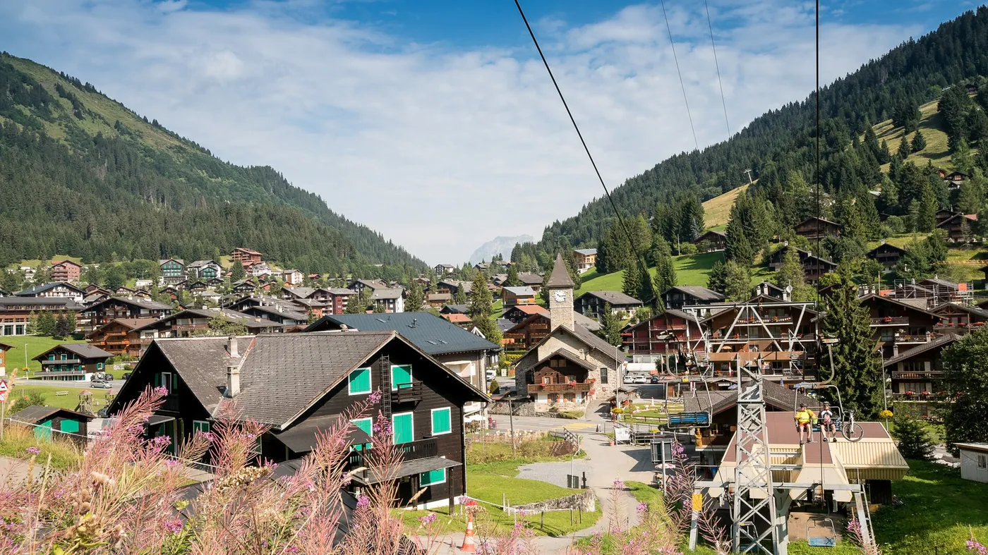 Morgins