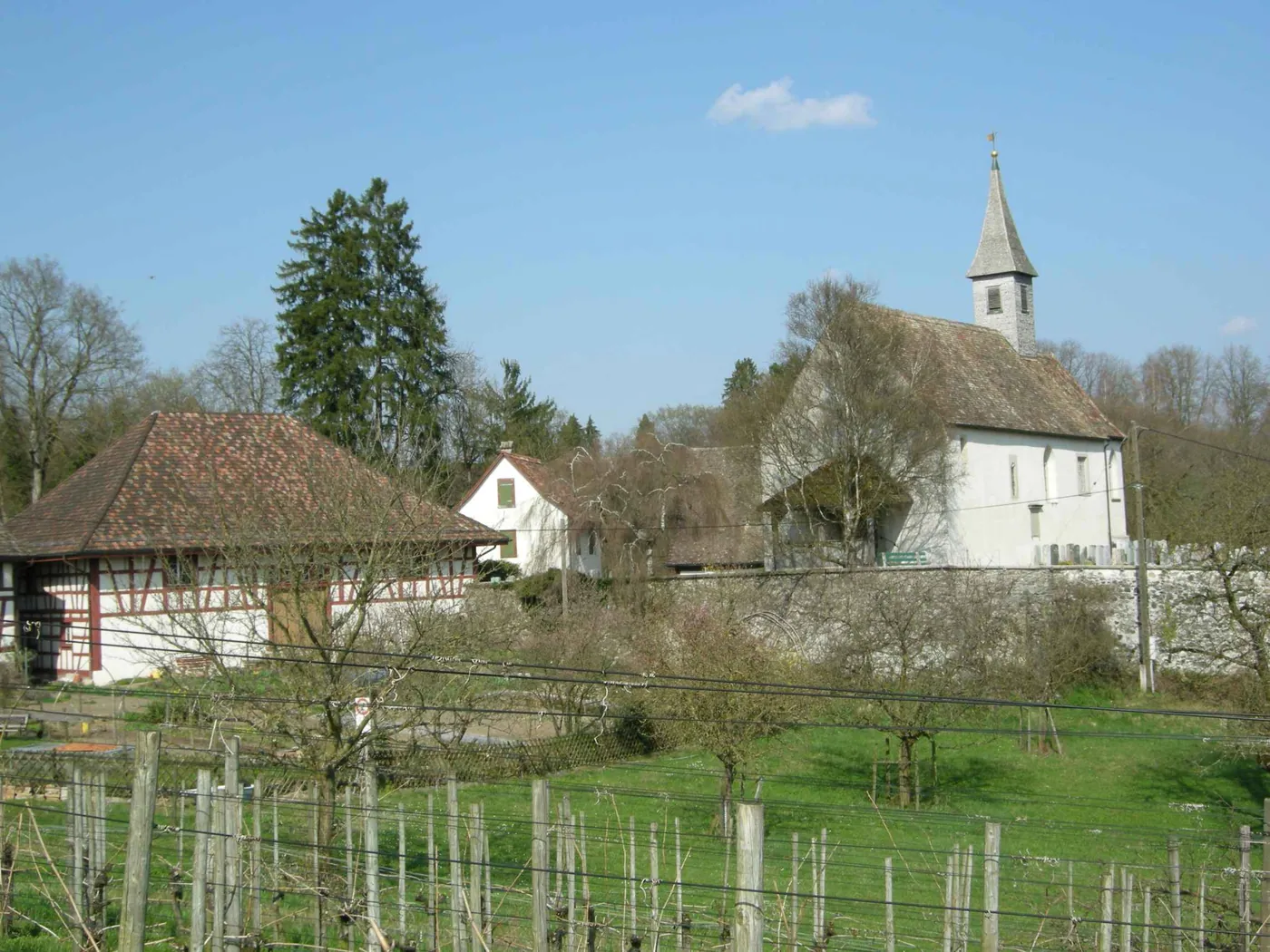 Kraina winna Zurychu (Weinland)