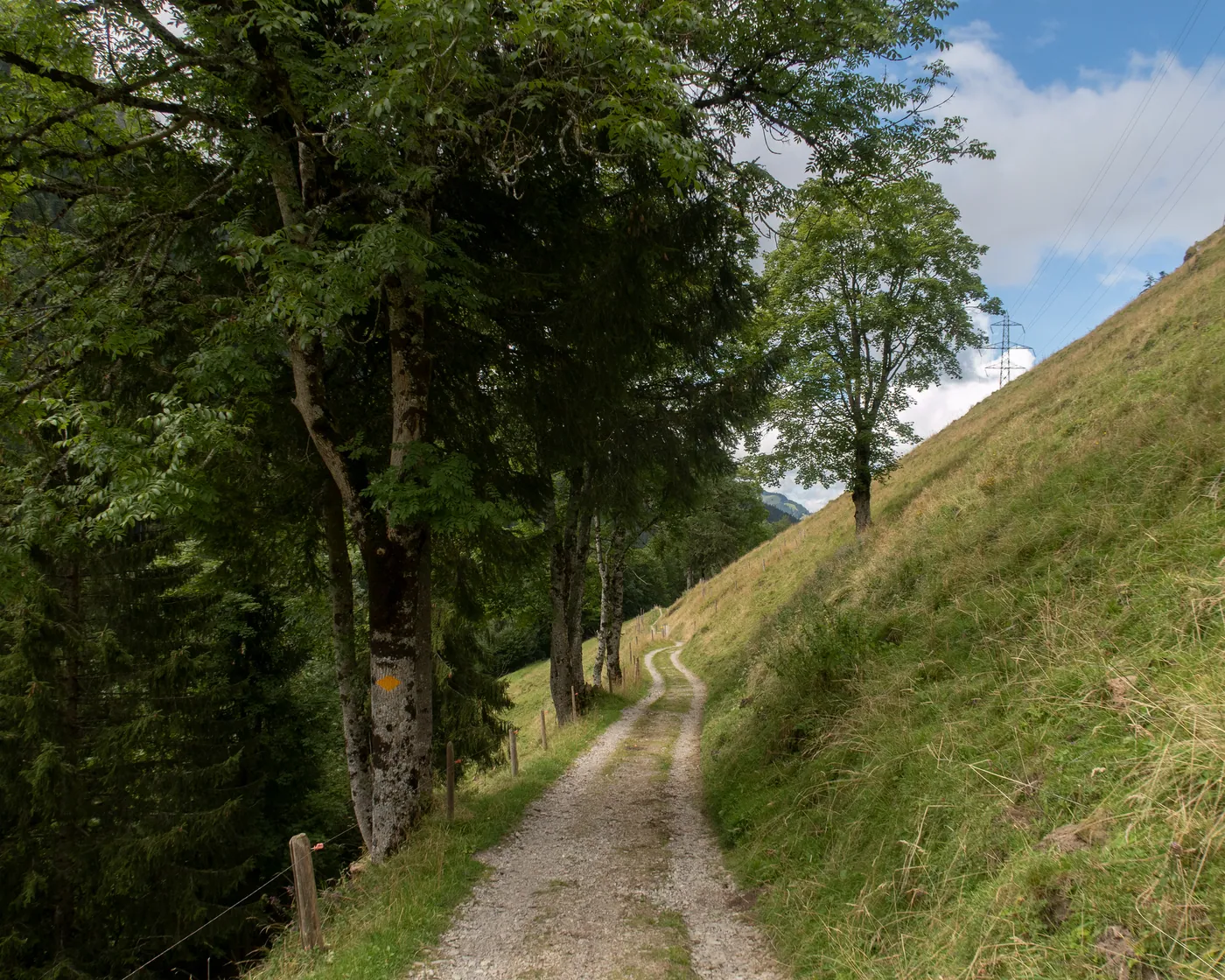 Trans Swiss Trail, etap 15