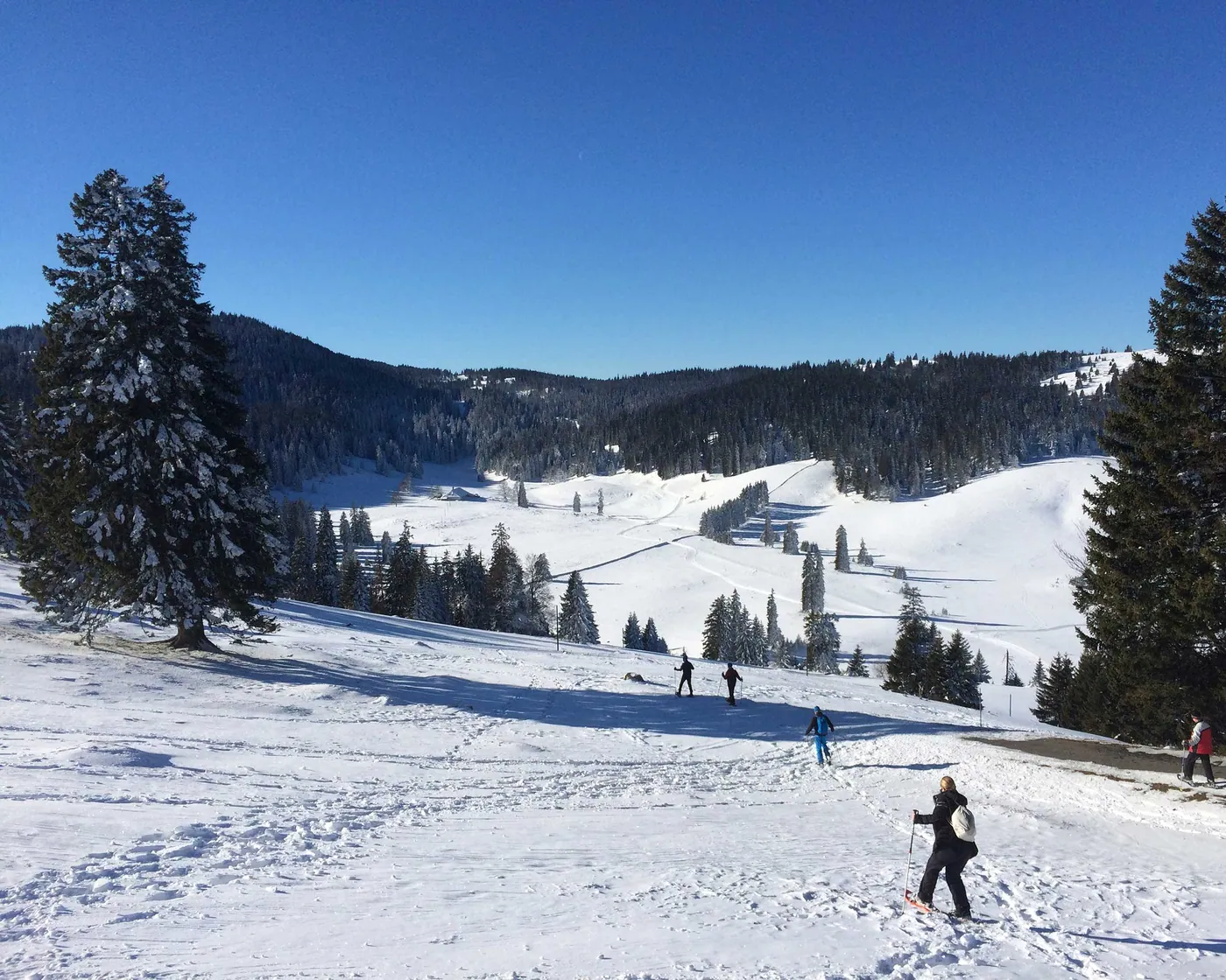 Col du Mollendruz-Châtel