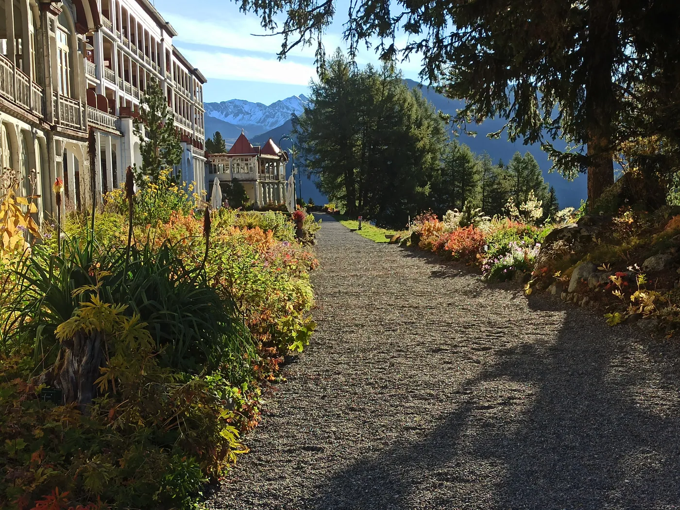 Alpinum Schatzalp — ogród alpejski