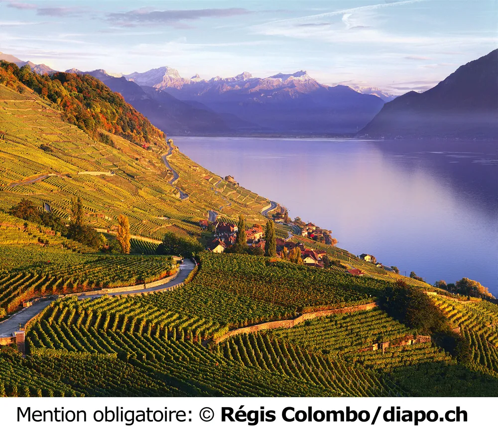 Spacer po winnicach Lavaux
