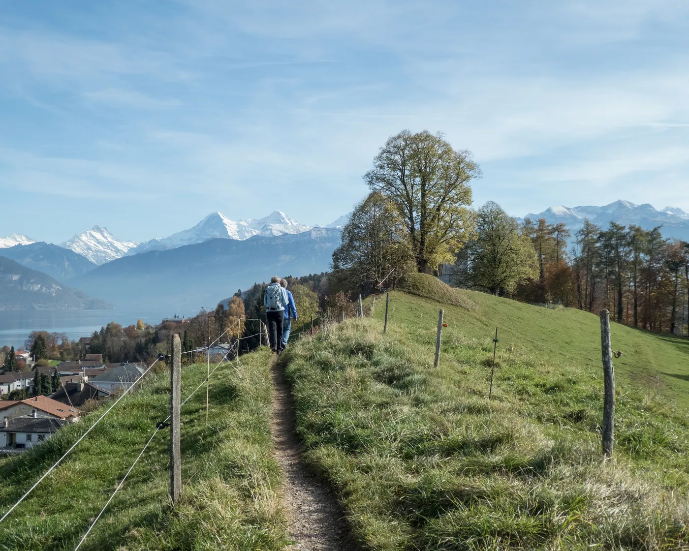 Panorama Rundweg Thunersee (cała pętla)