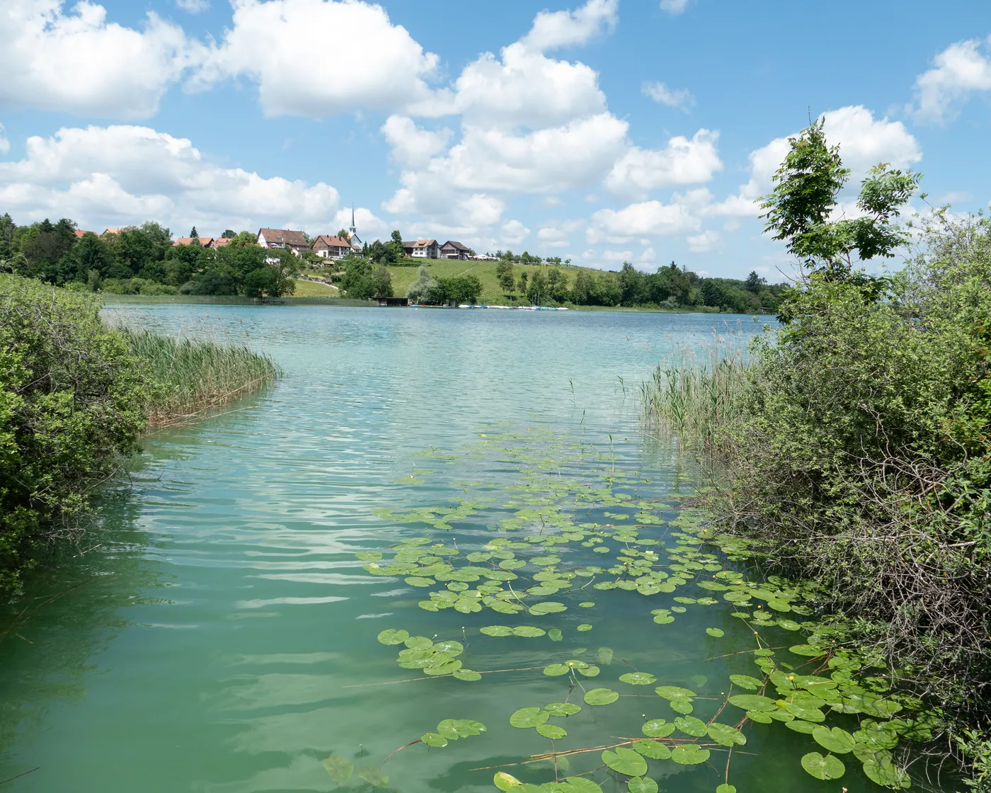 Pfäffikersee-Rundweg