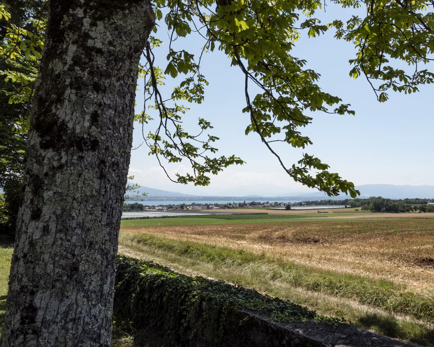 Alpine Panorama Trail, etap 28