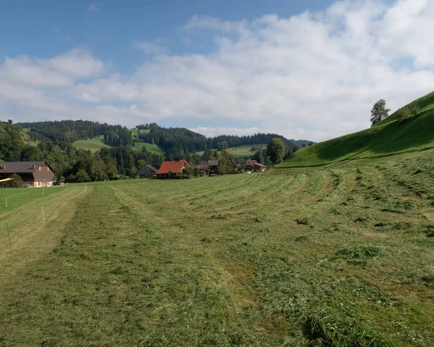Neckerweg, etap 2